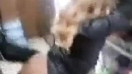 Siyah çift gece yarısı alışveriş seks