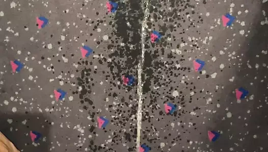 Halının her yerine işiyor