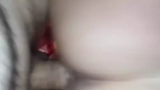 Cum içinde benim kedi