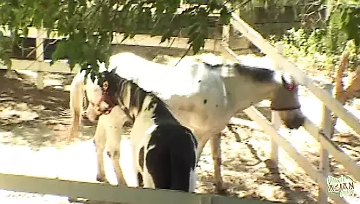 Lucy Thai anal ve çifte penetrasyona yol açan ateşli açık havada üçlü grup seks fotoğraf çekimine giriyor