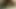 garchando con mi novia y su vibrador