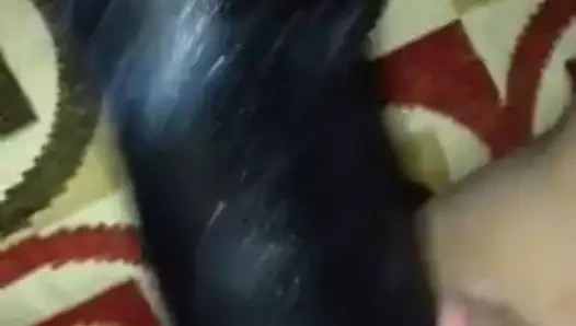 Kremsi kedi üzerinde bbc