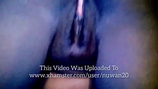 Köpek pissing tombul sri lankalı büyük şişman orta yaş kedi