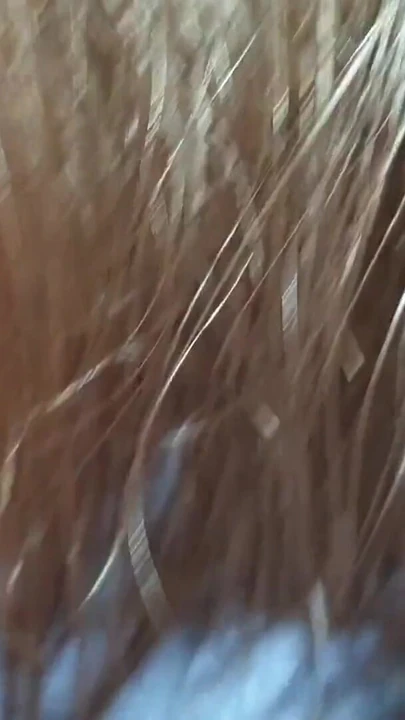 Незабываемый момент от "Я решил пососать его член в горах"