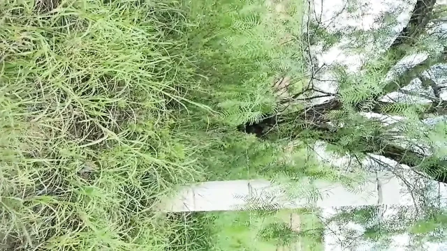 Karayolunun kenarında
