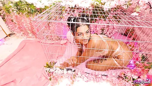 Pembe oda ep.31: uzun boylu, seksi sürtük Natasha Carter hepsini yapıyor