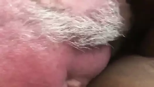 Newark, nj konaklama bj