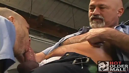 Olgun otomotiv: denetim altında