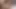 Adam oral seks yapıyor ve seksi esmerin yüzüne boşalıyor