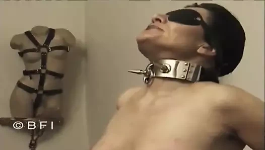 Acı çekme kuralları