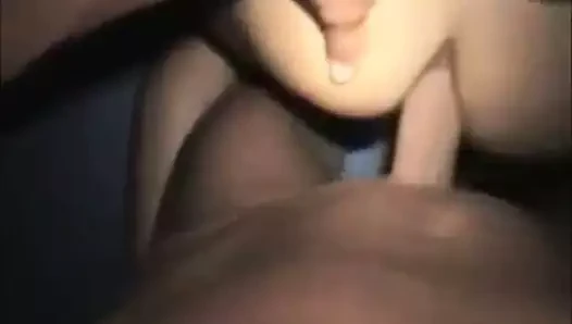 inculata