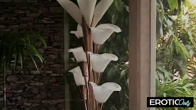 Orta yaşlı seksi kadın dantelle azdırıyor, sonra eğiliyor ve yarak için yalvarıyor