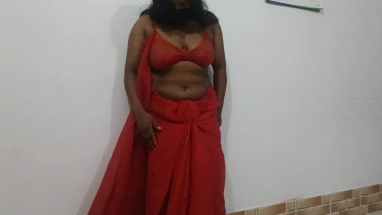 Desi girl sari danci