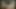 Dev transeksüel çük sarsıldı tarafından seksi latina