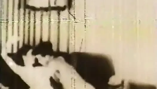 azgın sürtük var seks ile onu arkadaşı (1950'ler vintage)