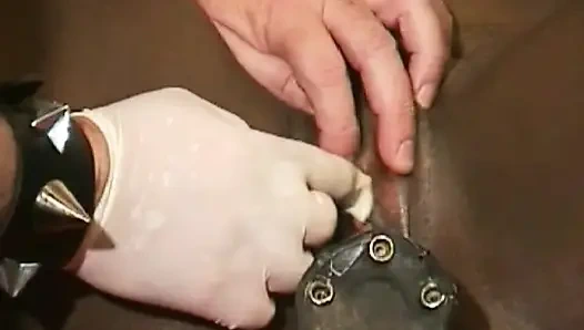Bağlı zenci Fransız kaltak BDSM'nin tadını çıkarıyor