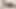 Busty sarışın tranny ile siyah çorap seviyor için almak horoz