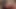 Sensual Brunette Oral Experience