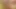 Sevimli redhead genç anna zimina çalış ile bir kedi pompa önce sıcak seks
