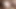 İnternette tanıştığım büyük memeli Japon orta yaşlı seksi kadın aniden evime dalıp içine boşalıyor