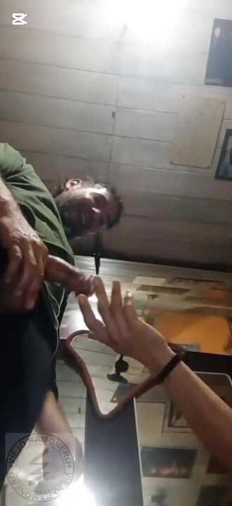 Amatör amigo üçlüsü