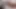 Mila'nın salya akıtan hogtie zevki: kemerlerle bağlı ve koşumlu bir taşakla sabitleniyor! Fullhd