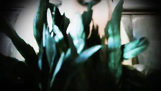 Etkilerim altında beyin yıkanıyor