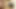 Asyalı hd