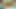 Sevimli Taylandlı orta yaşlı seksi kadın Lily Koh en iyi bakış açısıyla oral seks videosu çekiyor