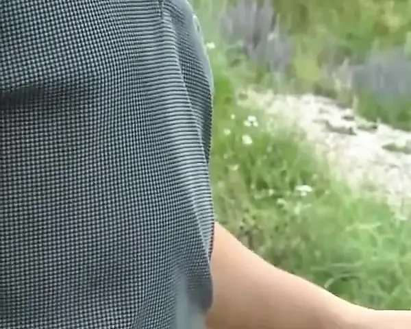 İlk anal özet
