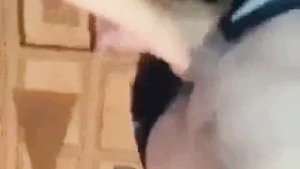 Un couple de jeunes russes excites