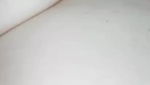 Kedi seks için hazırlanıyor