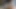 Güzel büyük siyah horoz oral seks 19