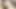 Gördüğüm en ateşli japon oyuncak videosu