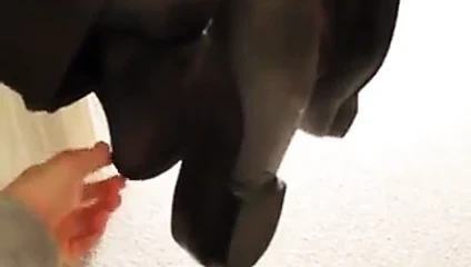 Gıdıklama &amp; onun sırf çoraplı ayaklarıyla oynama