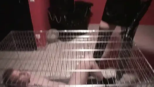 Tükürme ve aşağılama kafese kapatılmış Lf