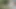 Hint aunty yapma video için sevgili ile güzel traş kedi
