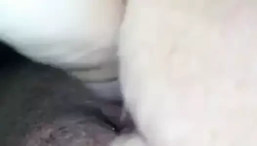 Onu kedi nabzını izle