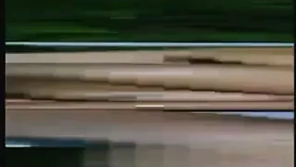 Veliaht prenses ve steve hatcher