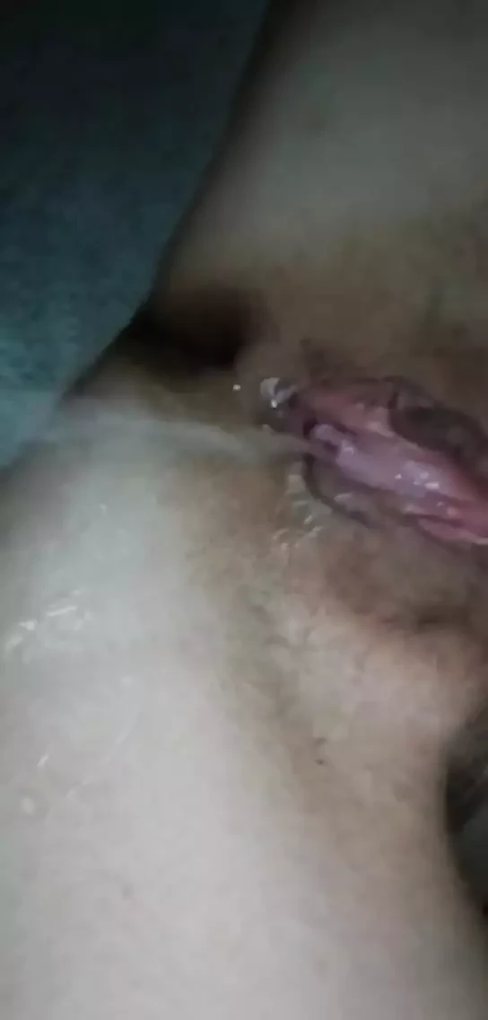 ıslak kedi