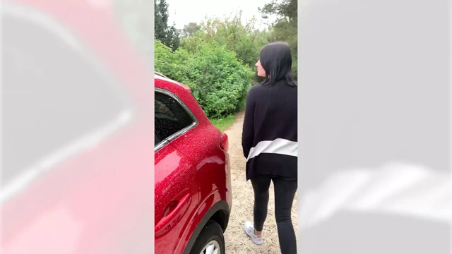 Alles mit dem Handy gefilmt