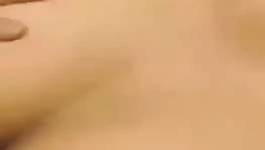 Mısır sharmota ile ıslak kedi