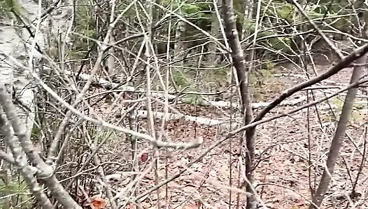 Ormanda Çok Havalı Işiyor