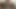 Ebony shemale hard oral explosion