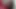 Seksi iç çamaşırlı dildo seansları sahne 1_ebony esmer evde yapay penisle tek başına mastürbasyon yapıyor