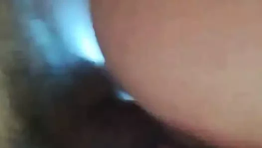 eş, köpek, litvanya