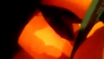 meine adamak marture 3