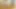 Southernstrokes - Gregor Gilead ve Jean Gilliam Raw Breed