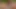 Sexo lesbico no ensaio fotografico