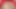 Anorseksik olgun Asyalı Hintli orta yaşlı seksi kadın. O sıska. Sarkık göğüsleri ve sarkık bir göbeği var. Kırmızı bir kanepede mastürbasyon yapıyor